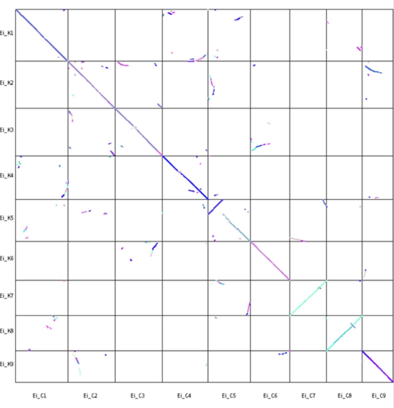 Genome assembly